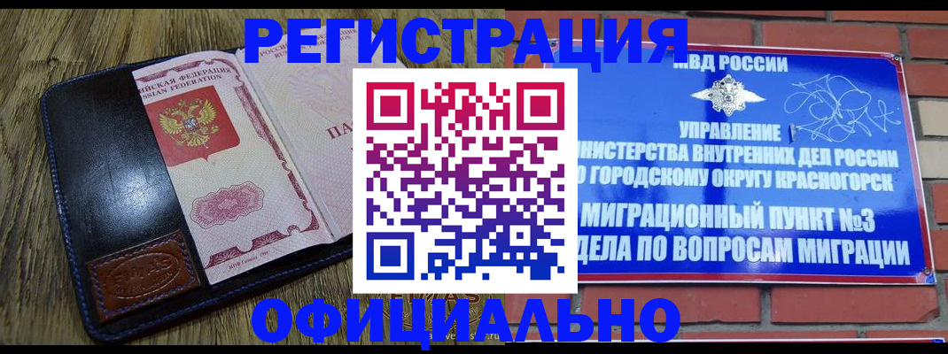 временная регистрация для школы в Курганской области
